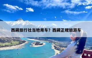 西藏旅行社当地用车？西藏正规旅游车