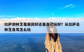 拉萨到林芝是报团好还是自己玩好？从拉萨去林芝自驾怎么玩