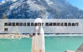 西藏是跟团还是自由行？西藏跟团还是自由行好