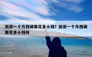旅游一个月西藏要花多小钱？旅游一个月西藏要花多小钱呀