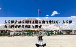 去拉萨旅游报团好还是自由行比较好？去拉萨自由行好还是当地加团好