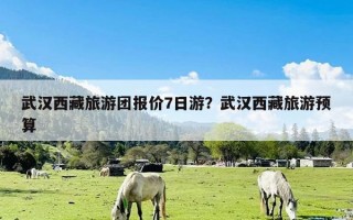 武汉西藏旅游团报价7日游？武汉西藏旅游预算