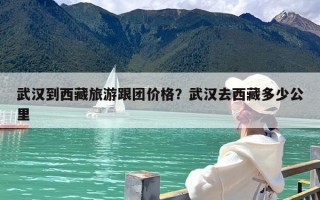武汉到西藏旅游跟团价格？武汉去西藏多少公里