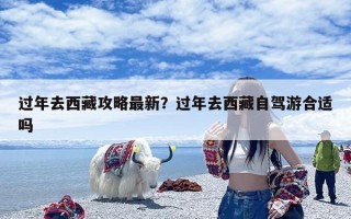 过年去西藏攻略最新？过年去西藏自驾游合适吗