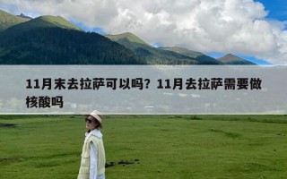 11月末去拉萨可以吗？11月去拉萨需要做核酸吗