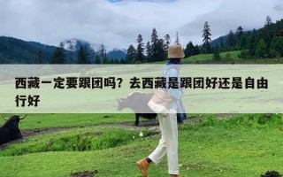 西藏一定要跟团吗？去西藏是跟团好还是自由行好