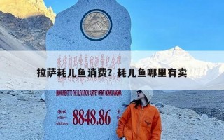 拉萨耗儿鱼消费？耗儿鱼哪里有卖