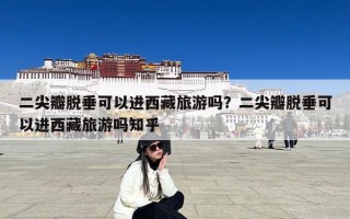二尖瓣脱垂可以进西藏旅游吗？二尖瓣脱垂可以进西藏旅游吗知乎