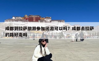 成都到拉萨旅游参加团游可以吗？成都去拉萨的路好走吗