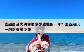 去趟西藏大约需要多少钱费用一年？去西藏玩一趟需要多少钱