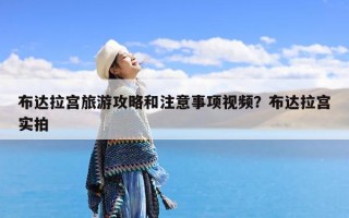 布达拉宫旅游攻略和注意事项视频？布达拉宫实拍
