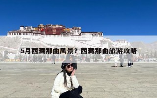 5月西藏那曲风景？西藏那曲旅游攻略