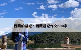 西藏的游记？西藏游记作文600字