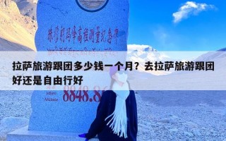 拉萨旅游跟团多少钱一个月？去拉萨旅游跟团好还是自由行好