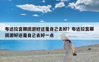 布达拉宫跟团游好还是自己去好？布达拉宫跟团游好还是自己去好一点