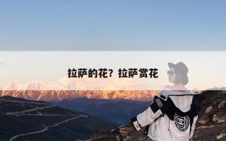 拉萨的花？拉萨赏花