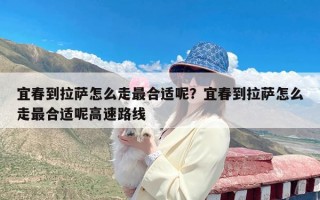 宜春到拉萨怎么走最合适呢？宜春到拉萨怎么走最合适呢高速路线