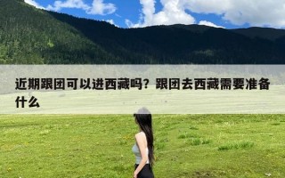 近期跟团可以进西藏吗？跟团去西藏需要准备什么