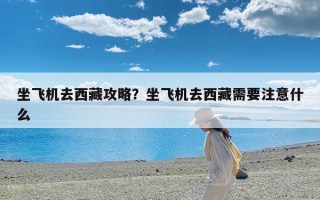 坐飞机去西藏攻略？坐飞机去西藏需要注意什么