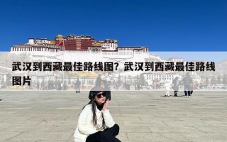 武汉到西藏最佳路线图？武汉到西藏最佳路线图片