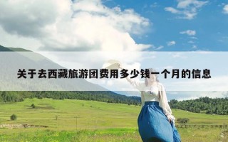 关于去西藏旅游团费用多少钱一个月的信息
