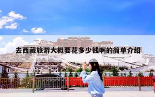 去西藏旅游大概要花多少钱啊的简单介绍