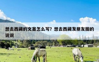 想去西藏的文案怎么写？想去西藏发朋友圈的说说