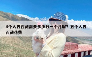 4个人去西藏需要多少钱一个月呢？五个人去西藏花费