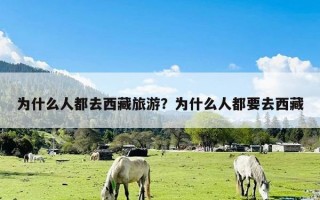 为什么人都去西藏旅游？为什么人都要去西藏