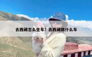去西藏怎么坐车？去西藏做什么车