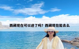西藏现在可以进了吗？西藏现在能去么