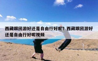西藏跟团游好还是自由行好呢？西藏跟团游好还是自由行好呢视频