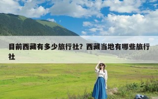 目前西藏有多少旅行社？西藏当地有哪些旅行社