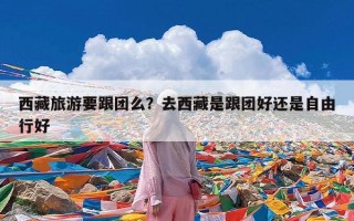 西藏旅游要跟团么？去西藏是跟团好还是自由行好