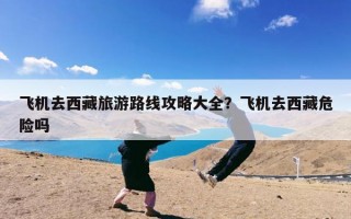 飞机去西藏旅游路线攻略大全？飞机去西藏危险吗