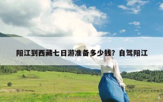 阳江到西藏七日游准备多少钱？自驾阳江