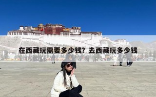 在西藏玩需要多少钱？去西藏玩多少钱