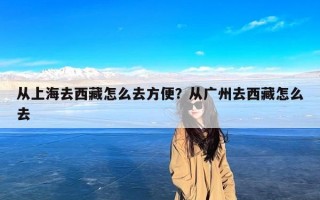 从上海去西藏怎么去方便？从广州去西藏怎么去