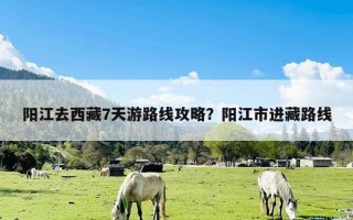 阳江去西藏7天游路线攻略？阳江市进藏路线