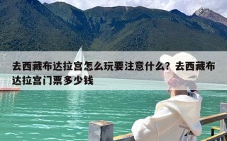 去西藏布达拉宫怎么玩要注意什么？去西藏布达拉宫门票多少钱