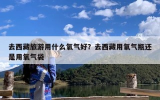去西藏旅游用什么氧气好？去西藏用氧气瓶还是用氧气袋