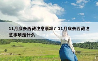 11月底去西藏注意事项？11月底去西藏注意事项是什么