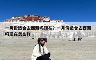 一月份适合去西藏吗现在？一月份适合去西藏吗现在怎么样