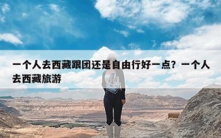 一个人去西藏跟团还是自由行好一点？一个人去西藏旅游