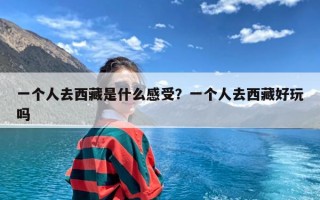 一个人去西藏是什么感受？一个人去西藏好玩吗
