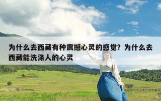 为什么去西藏有种震撼心灵的感觉？为什么去西藏能洗涤人的心灵