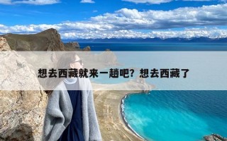 想去西藏就来一趟吧？想去西藏了