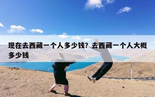 现在去西藏一个人多少钱？去西藏一个人大概多少钱