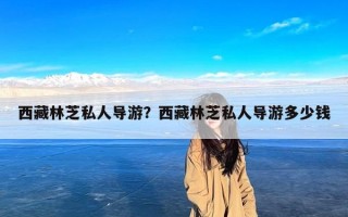 西藏林芝私人导游？西藏林芝私人导游多少钱