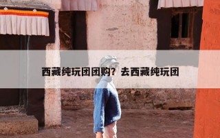 西藏纯玩团团购？去西藏纯玩团